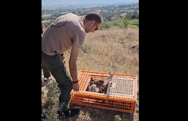 Κ.Σ. Επανομής : Επλουτισμός βιοτόπων με φασιανούς...VIDEO