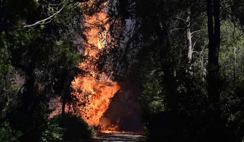 Πυροσβεστική: Συνελήφθη αλλοδαπός για εμπρησμό στη Ραφήνα