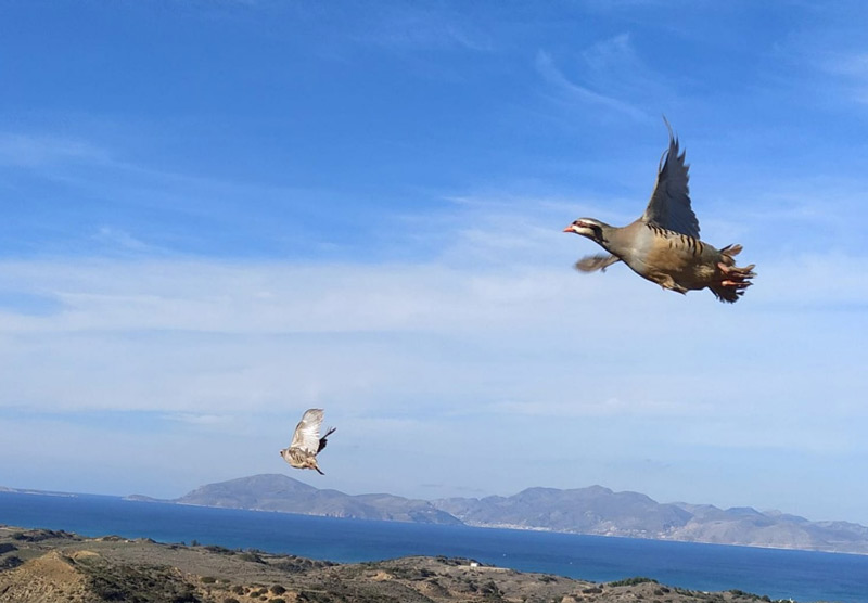 Με περιβαλλοντικό και κοινωνικό αποτύπωμα ο Κυνηγετικός Σύλλογος Κω!...VIDEO