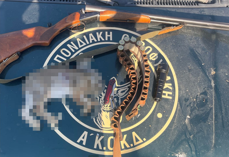 Μήνυση για νυχτερινή λαθροθηρία λαγού στις Μέλαμπες Ρεθύμνου