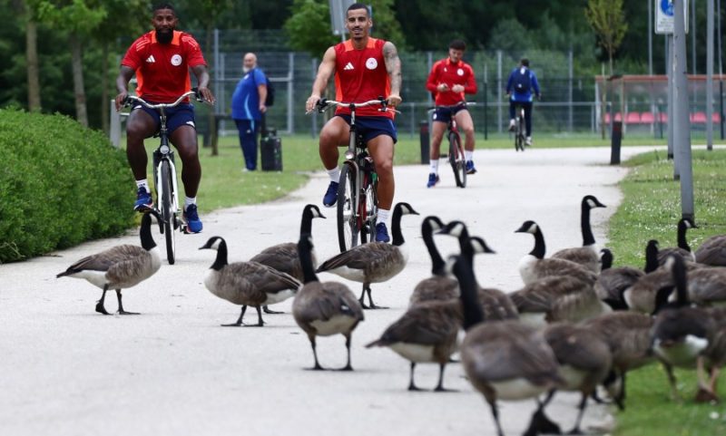 Η προπόνηση του Ολυμπιακού στην Ολλανδία & η ποδηλατάδα με τις... χήνες!