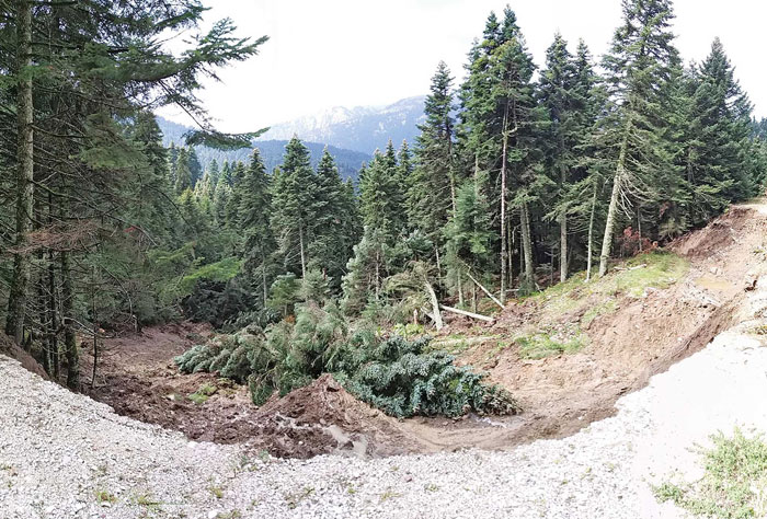 Εγκατέλειψαν και το Πανεπιστημιακό Δάσος στο Περτούλι