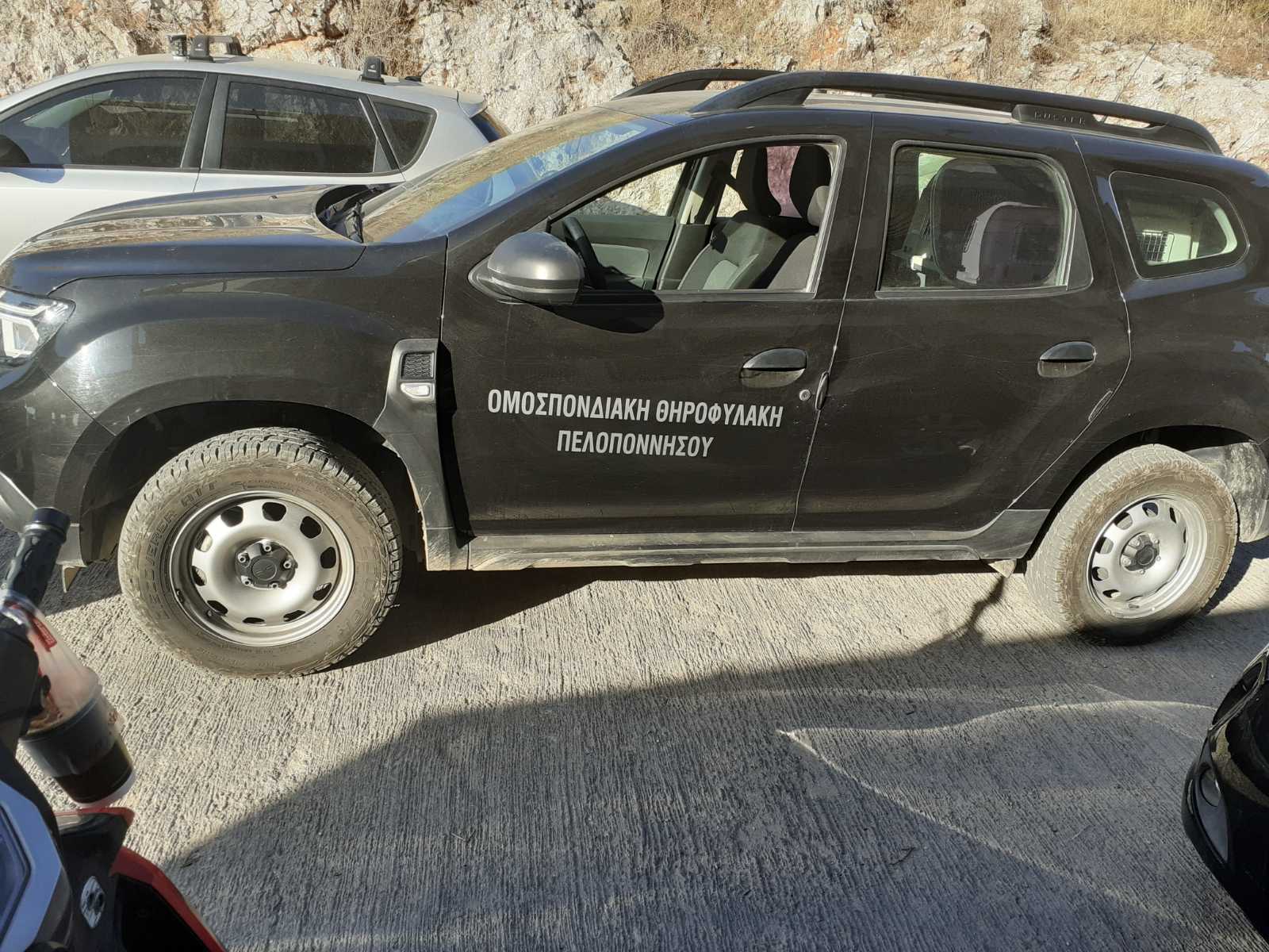 Φόλες : Οι εκπαιδευμένοι σκύλοι της Γ' ΚΟΠ στο Σχιστό