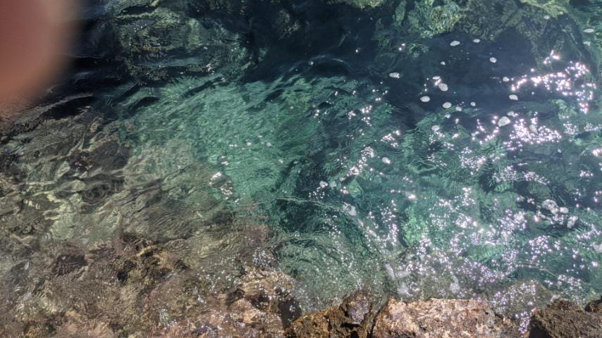 Μέγαρα: Έδεσαν πέτρα στο λαιμό σκύλου και τον πέταξαν στη θάλασσα