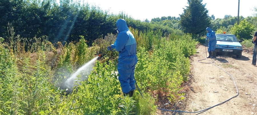 Ένα κρούσμα από το ιό του Δυτικού Νείλου στη Δράμα