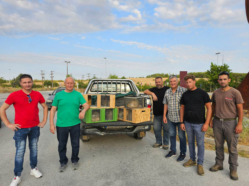 Ζ' ΚΟΘ : Άρχισε η απελευθέρωση λαγών