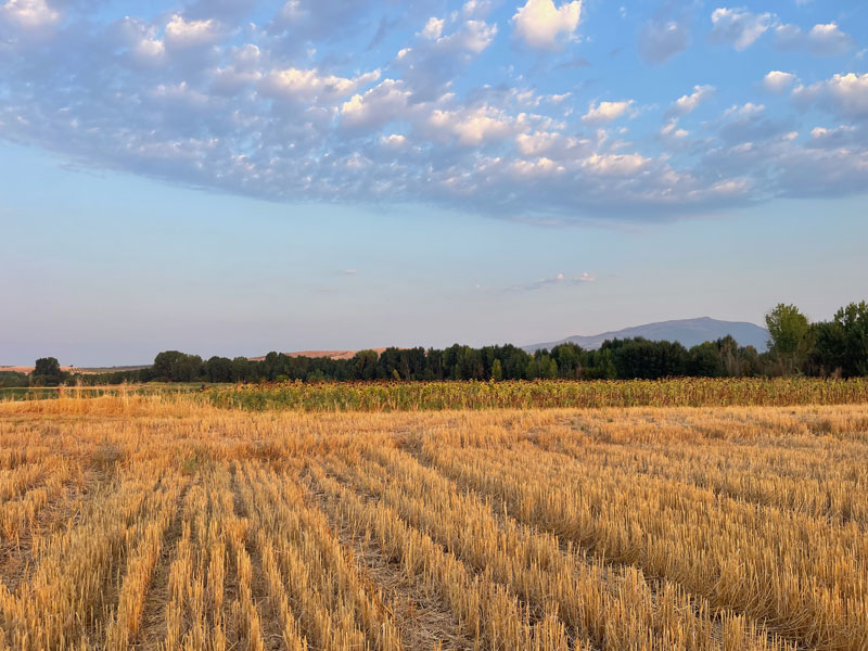 Ελασσόνα : "Κυνηγοί" απαγορεύουν την πρόσβαση σε άλλους κυνηγούς παραμονή της έναρξης