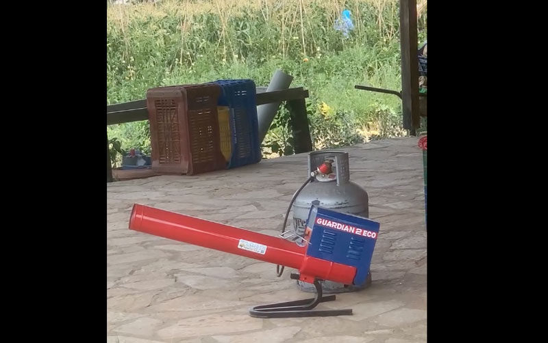 Καστοριά: Έβαλαν κανονάκι για να διώχνει τις αρκούδες...VIDEO