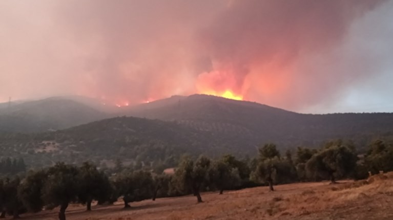 Γεράκι άναψε τη φωτιά στην Εύβοια σύμφωνα με τα ευρήματα της Πυροσβεστικής