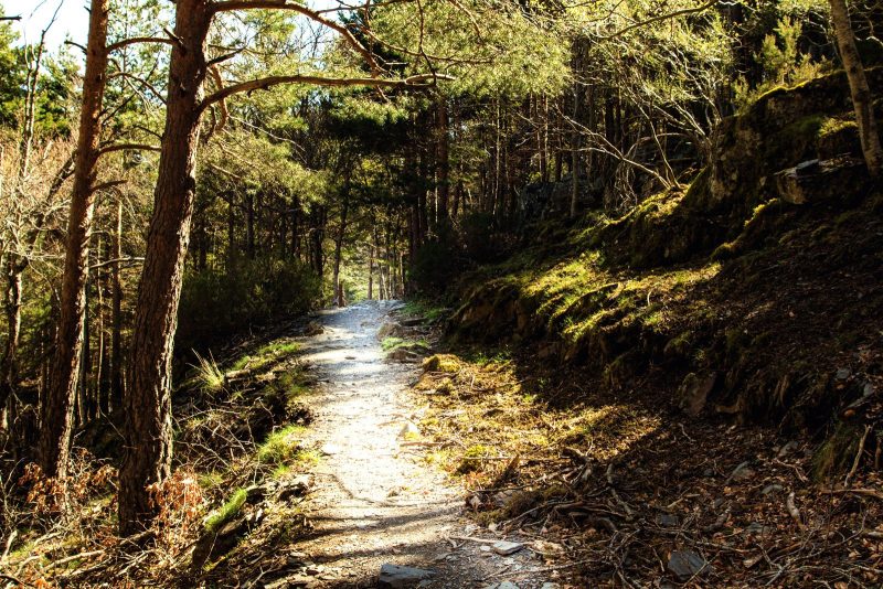 Διευκρινίσεις του Υπουργείου Περιβάλλοντος και Ενέργειας για τα έργα αποκατάστασης και αναδάσωσης στη βόρεια Εύβοια