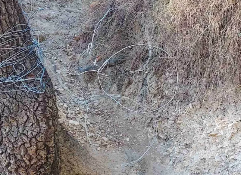 Πρόστιμο €23.500 για σοβαρότατη υπόθεση λαθροθηρίας