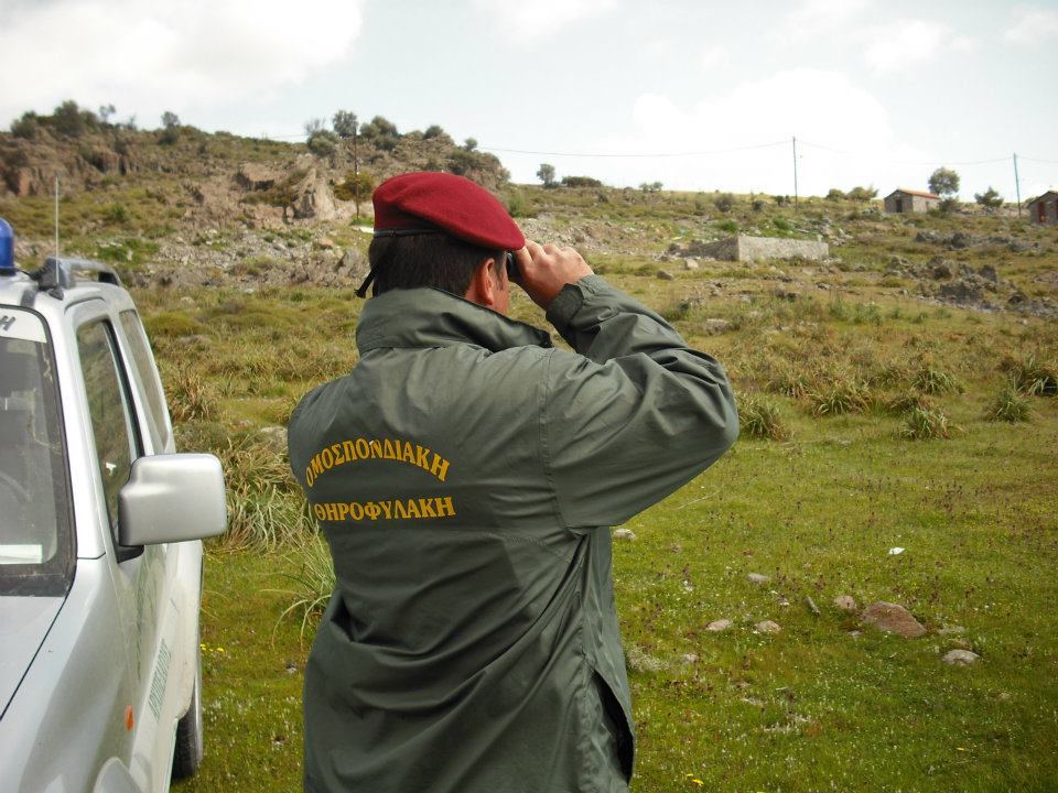 Β' ΚΟΑ : Διοικητικό πρόστιμο 350 ευρώ για θήρα χωρίς άδεια και εκτός ζώνης διάβασης