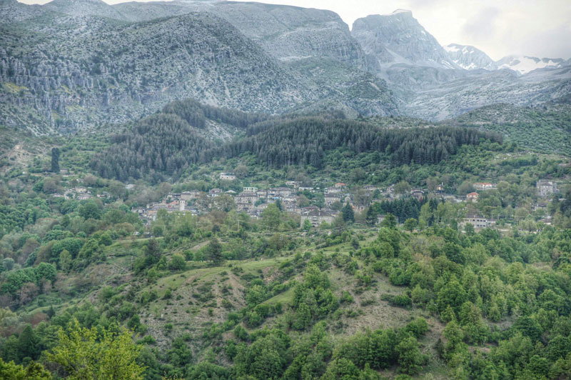 Ε' ΚΟΗ : Διοικητικά πρόστιμα για παράνομη εκγύμναση σκύλων και για θήρα λαγού.....με φέρμες