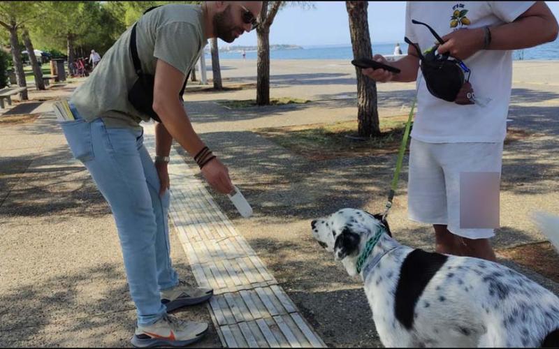 Θεσσαλονίκη: Πάνω από 400 έλεγχοι για ζώα συντροφιάς – Πρόστιμα ως και 1.000 ευρώ