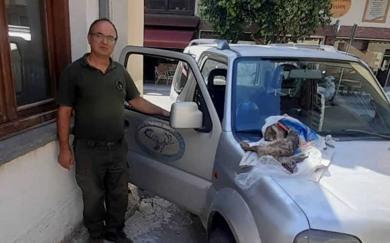 Θηροφυλακή Ζ' ΚΟΘ : Μήνυση για λαθροθηρία λαγού και απείθεια