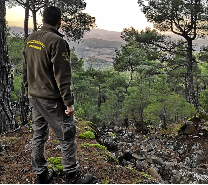 Β' ΚΟΑ : Πρόστιμο 200 ευρω και αφαίρεση αδείας για θήρα εκτός ζωνών διάβασης