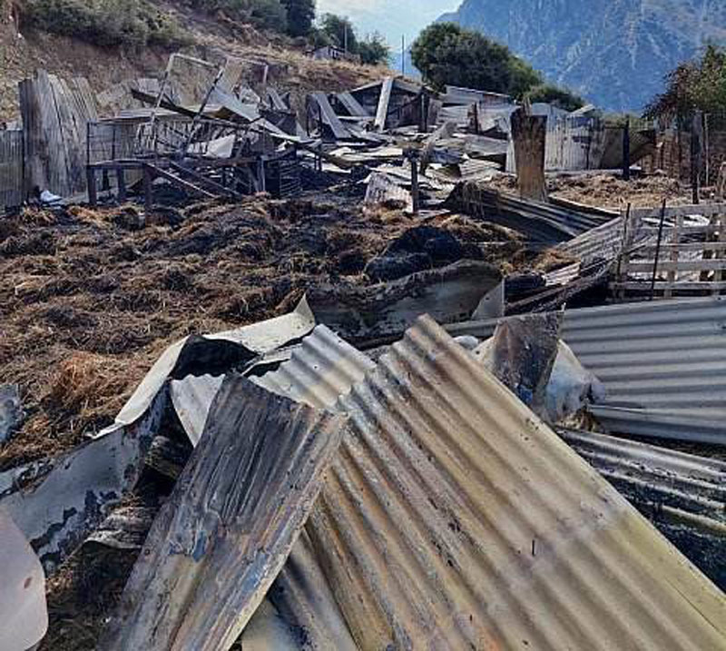 Κεραυνός σκότωσε 150 ζώα σε κτηνοτροφική μονάδα στην Αιτωλοακαρνανία