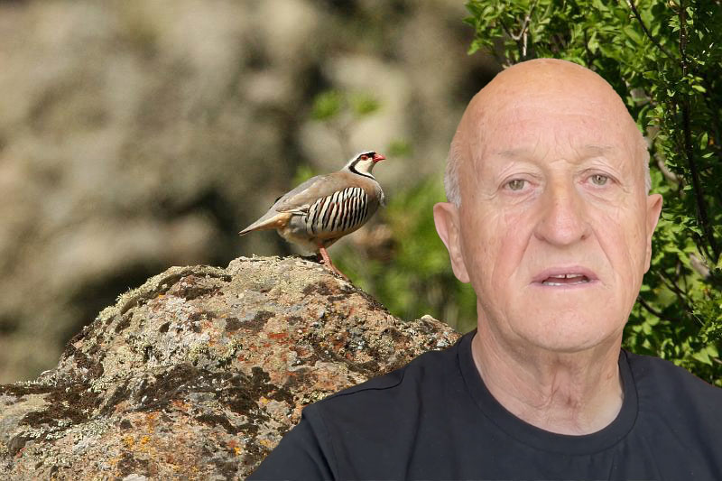 Β. Μπαλατσός : Αντιλαλούν τα βουνά από το κελάιδισμα της ορεινής πέρδικας...VIDEO