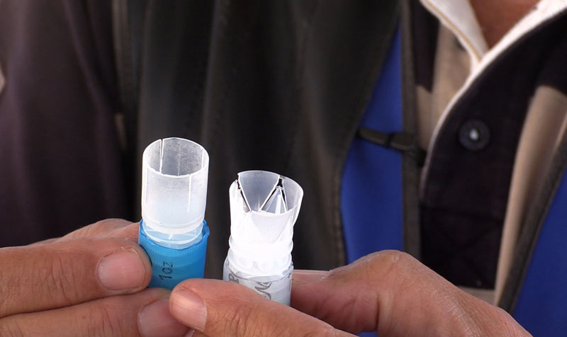 Τα φυσίγγια  στο κυνήγι των περασματιάρικων ορτυκιών...VIDEO