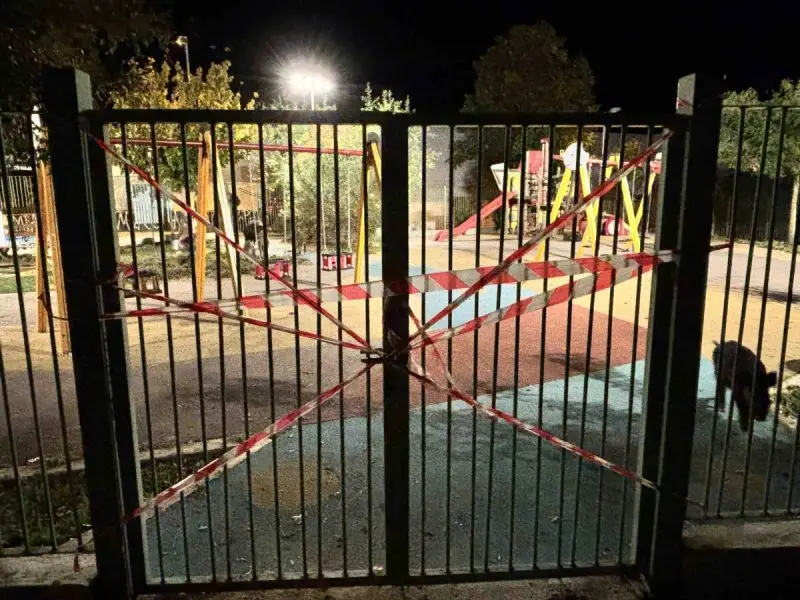 Θεσσαλονίκη: “Συνελήφθησαν” τα αγριογούρουνα που μπήκαν σε παιδική χαρά