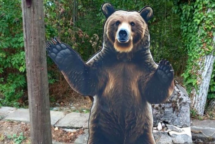 Ιωάννινα: Έκλεψαν την «αρκούδα» της Ελάτης