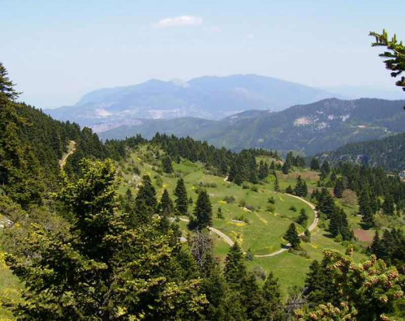 Φθιώτιδα : Μηνύσεις για λαθροθηρία σε καταφύγιο και για απείθεια