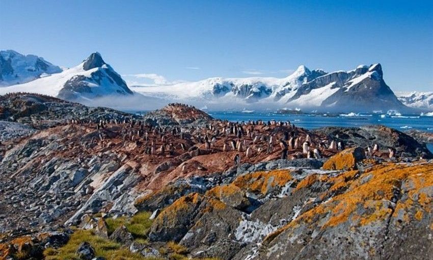 Κλιματική αλλαγή: Έκπληκτοι οι επιστήμονες - Πρασινίζει ταχύτατα η Ανταρκτική