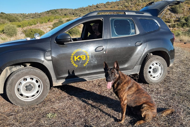 Φόλες σε περιοχή του Ναυπλίου εντόπισε ο σκύλος της Γ'ΚΟΠ