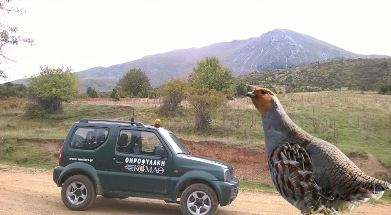 Μια λαθροθηρία πεδινής πέρδικας που έκανε πολλούς να έχουν χάσει τον ύπνο τους