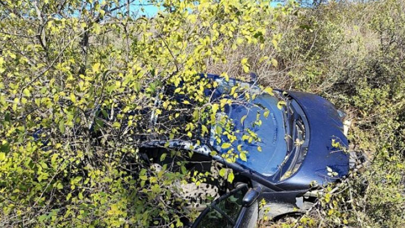 Σφοδρή σύγκρουση αυτοκινήτου με αγριογούρουνο στο δρόμο Μουζακίου – Καρδίτσας