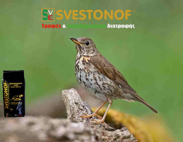 Ανταπόκριση περασμάτων : Συνεχίστηκε και σήμερα το χθεσινό πέρασμα...14/10/2024