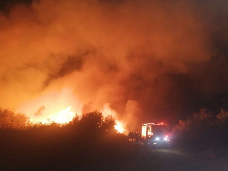 Πυρκαγιά στο Βουπράσιο Αχαΐας: «Στοίχημα» να μην περάσει η φωτιά στο δάσος της Στροφυλιάς ...VIDEO