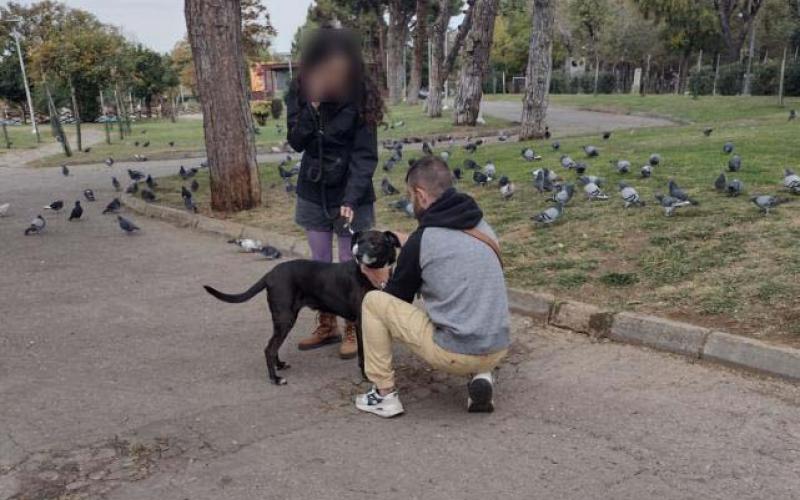 Θεσσαλονίκη: Έλεγχοι σε ζώα συντροφιάς – Πρόστιμα από 100 μέχρι και 1.000 ευρώ