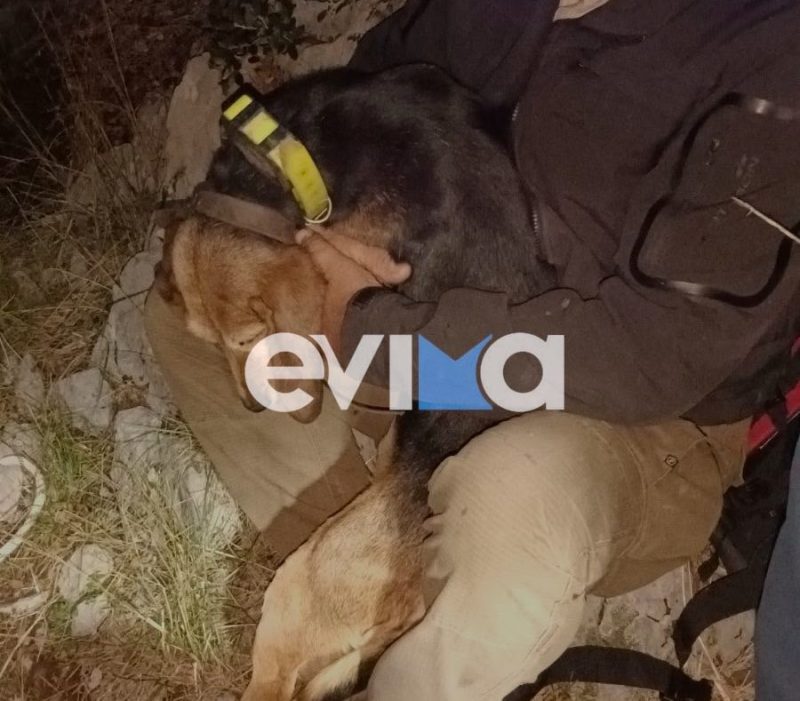 Μεγάλη επιχείρηση διάσωσης κυνηγόσκυλου από την Πυροσβεστική στην Εύβοια