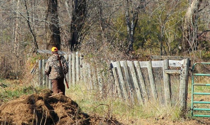 Κρήτη: Απίστευτο ατύχημα με κυνηγό - Δέχτηκε σφαίρα στο πόδι
