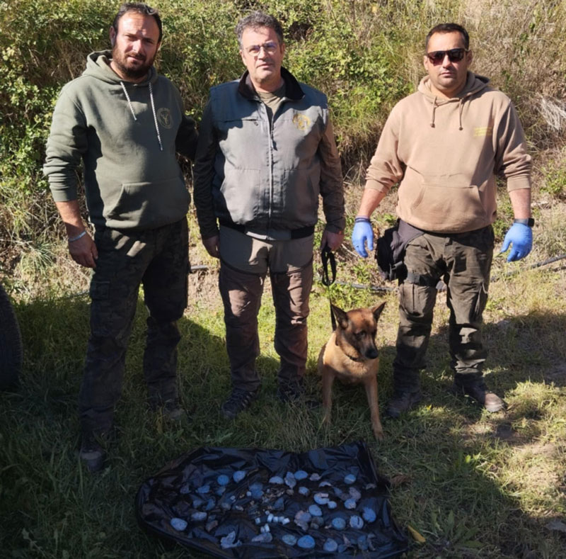 Μια σακκούλα φόλες εντόπισαν οι σκύλοι της Γ' ΚΟΠ