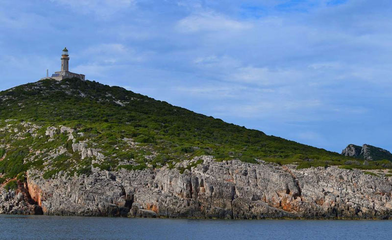 Από 4 Νοεμβρίου έως 12 Δεκεμβρίου θα διαρκέσει το κυνήγι στη Σαπιέντζα