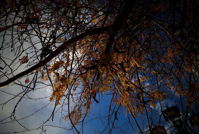 Έκτακτο δελτίο της ΕΜΥ : Ισχυρές βροχοπτώσεις το Σαββατοκύριακο