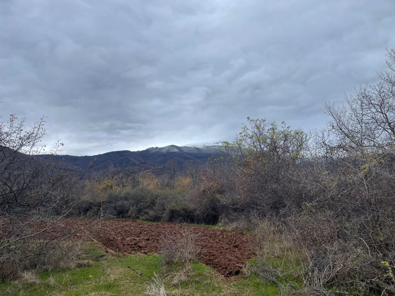 Καιρός 3/12/2024: Εξασθενεί η κακοκαιρία Bora. Νέα επιδείνωση από Τετάρτη
