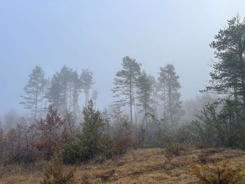 Καιρός 20/12/2024 : Καταιγίδες και βροχές με θερμοκρασία ως τους 20 βαθμούς