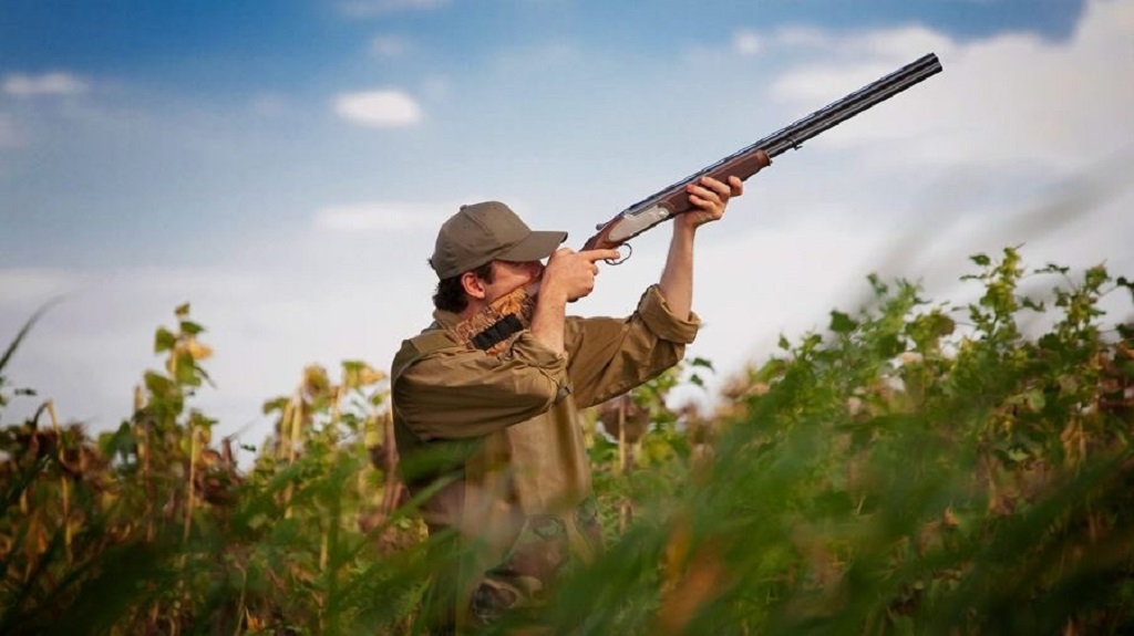 Κ.Σ. Αλεξανδρούπολης: Μειώθηκαν οι άδειες κυνηγιού μετά τις φωτιές