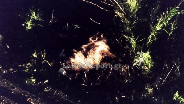 Φθιώτιδα : 53χρονος τραυματίστηκε σε τροχαίο με αγριογούρουνο Φθιώτιδα : 53χρονος τραυματίστηκε σε τροχαίο με αγριογούρουνο