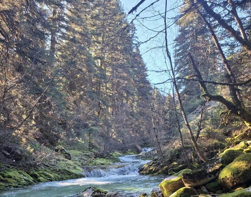 Περιβαλλοντικό σκάνδαλο στις πηγές του Αχελώου