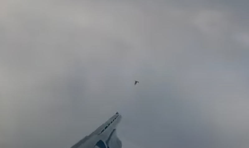 Τουφεκιές από φετινό κυνήγι φάσσας στη Μακεδονία....VIDEO