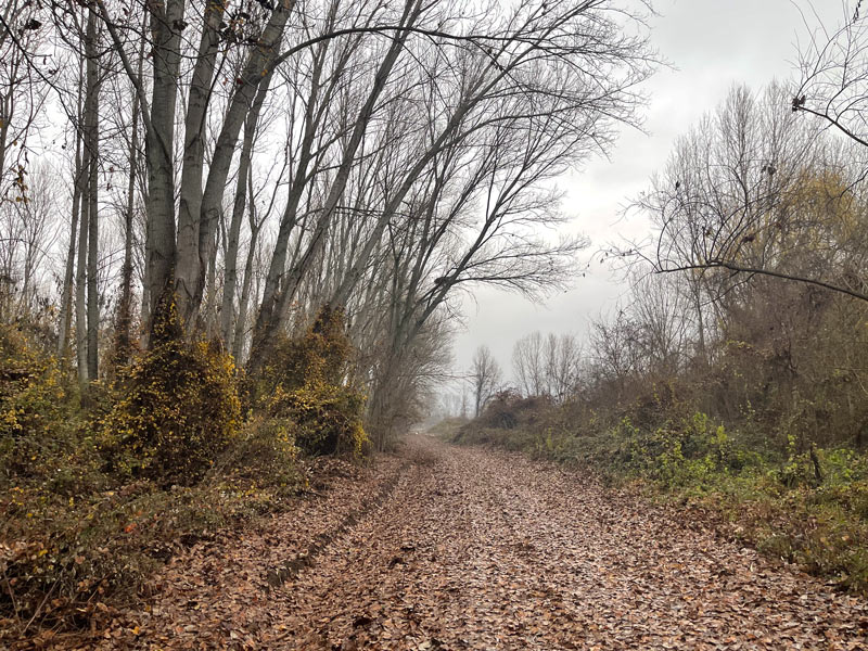 Έκτακτο δελτίο της ΕΜΥ - Έρχονται ισχυρές βροχές, καταιγίδες και χαλάζι