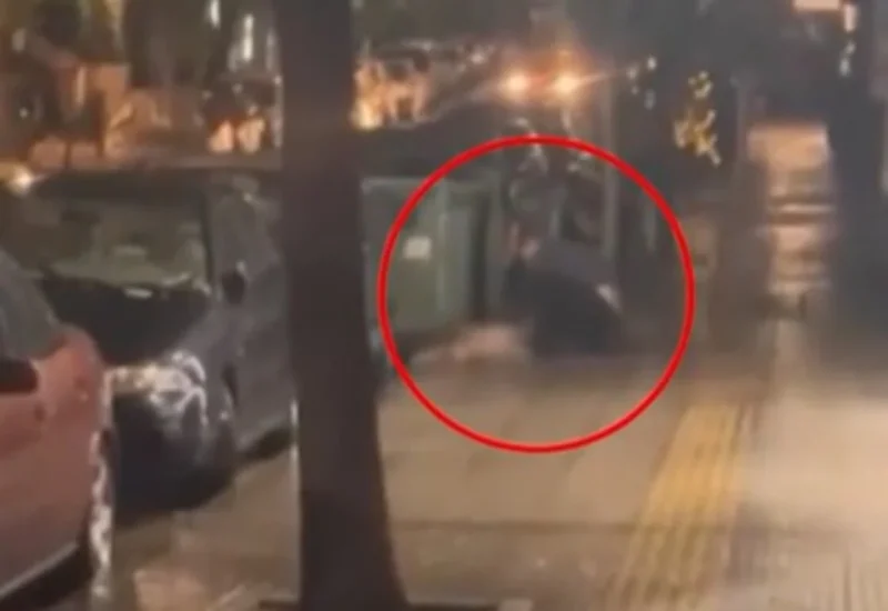 Πέθανε ο σκύλος που μαχαιρώθηκε από 47χρονο στην Κυψέλη