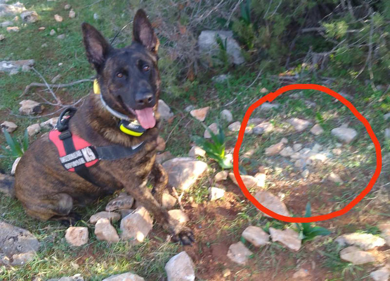 Νέο κρούσμα δηλητηριασμένων δολωμάτων στο Κρανίδι