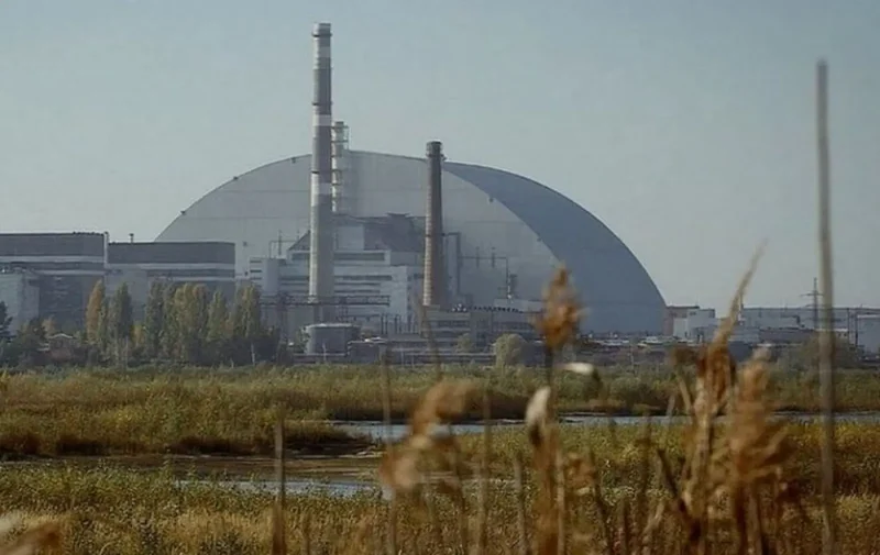 Έρευνα: Τα σκυλιά του Τσερνόμπιλ αναπτύσσονται διαφορετικά 38 χρόνια μετά την πυρηνική καταστροφή