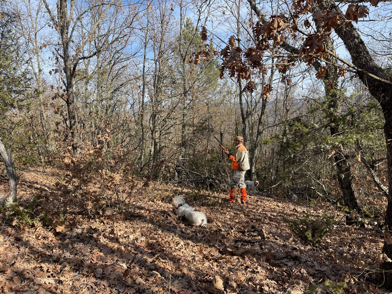 Τουφεκιά με περιστροφή του σώματος...VIDEO