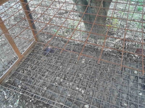 Τους χάλασε τα σχέδια η θηροφυλακή της Δ' ΚΟΣΕ στις Θερμοπύλες